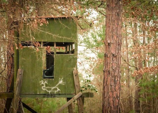 Property at TBD 2 County Road 435 D, Laneville, TX 75667