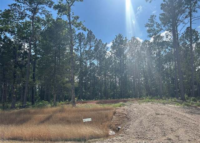 Property at 11327 Annie Creek Dr, Willis, TX 77378