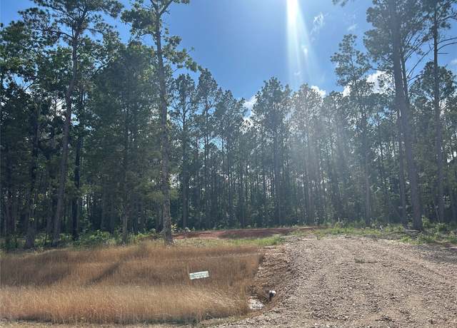Property at 11327 Annie Creek Dr, Willis, TX 77378
