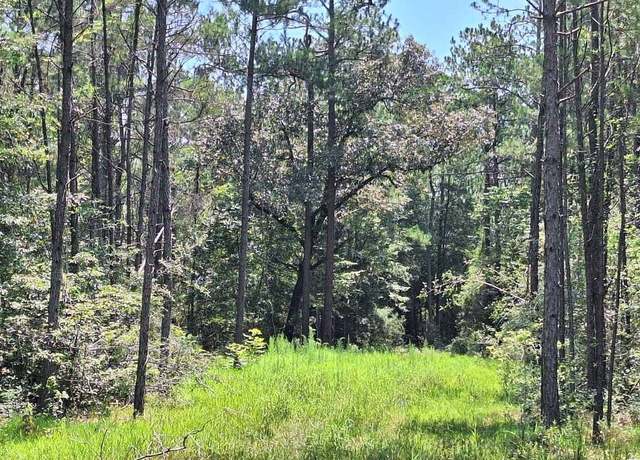 Property at 6851 Private Road 8235, Buna, TX 77612
