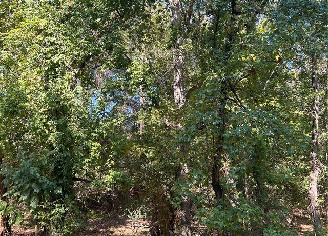 Property at TBD Joanna Hl, Livingston, TX 77351