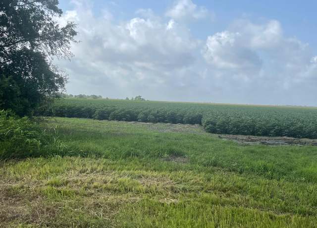 Property at 10815 Koym Rd, Beasley, TX 77417