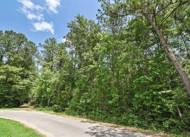 Property at 10th Street, Shepherd, TX 77371