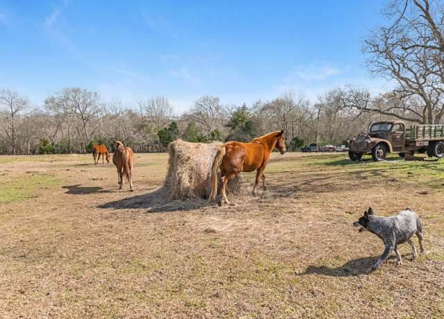 Property at 13236 Reeves Cemetery, Old River Winfree, TX 77535