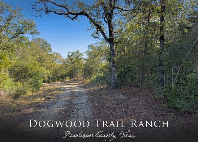 Property at 10429 County Road 313, Caldwell, TX 77836