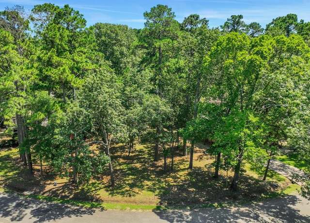 Property at 90 N Royale Greens Dr, Coldspring, TX 77331
