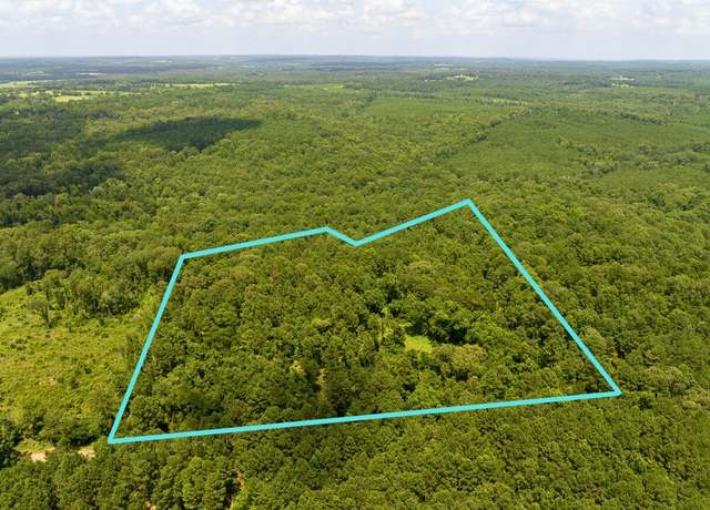 Property at 0 Cr 437, Laneville, TX 75667