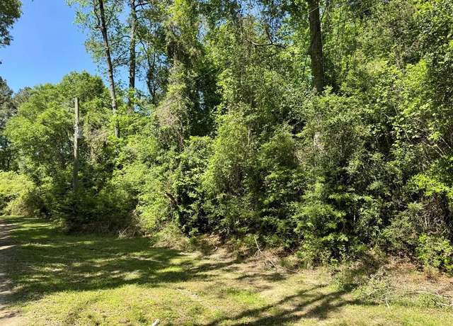 Property at TBD County Road 4415, Spurger, TX 77660