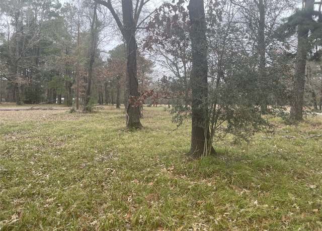 Property at 155 San Soucie Way, Trinity, TX 75862
