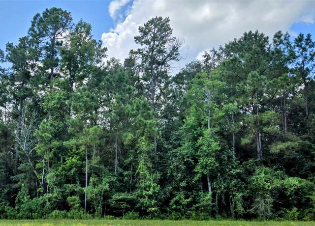 Property at 2-1-109 Rustic Ranch Dr, TX 77358