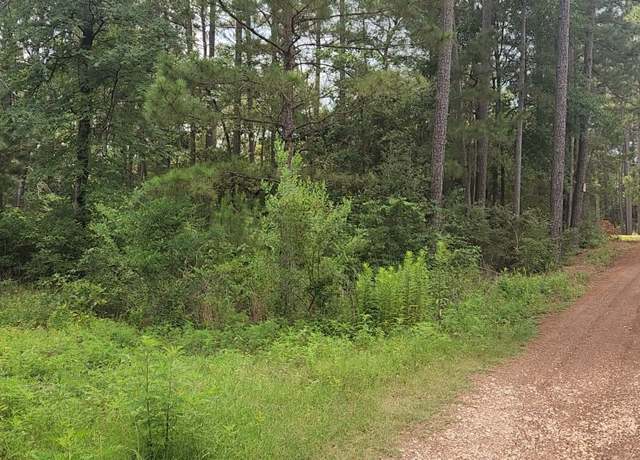 Property at Lot 4 Smokethorn Ln, Plantersville, TX 77363