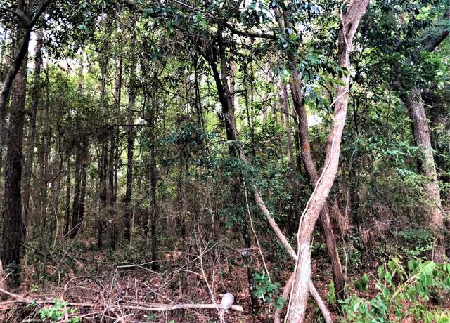 Property at TBD Perry Dr, Coldspring, TX 77331