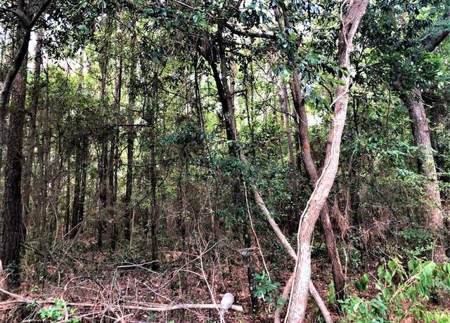 Property at TBD Perry Dr, Coldspring, TX 77331
