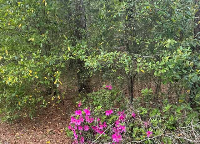 Property at 0 Road 2652, Cleveland, TX 77327