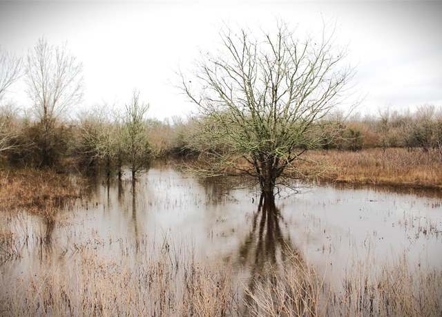Property at 000 Alaska Ln, Midway, TX 75852