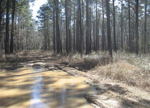 Property at 00 Usf 505, Kennard, TX 75847