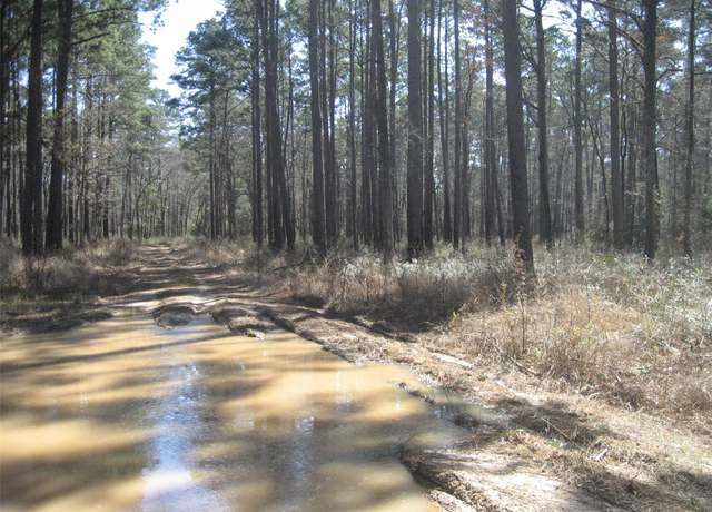 Property at 00 Usf 505, Kennard, TX 75847