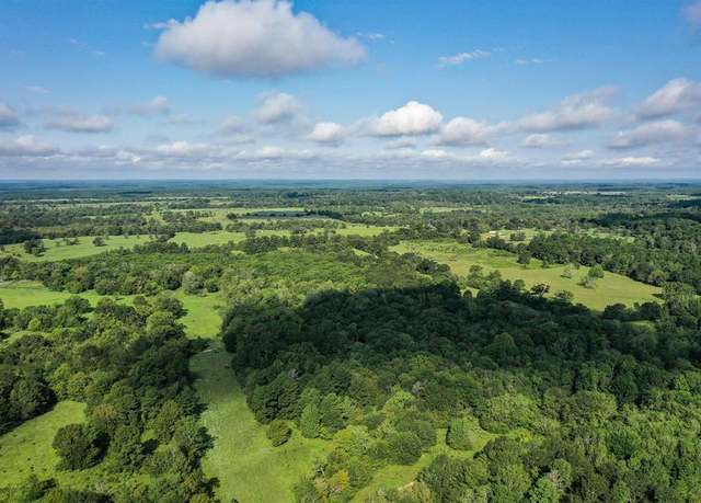 Property at 70 Acres FM 1374, Huntsville, TX 77340
