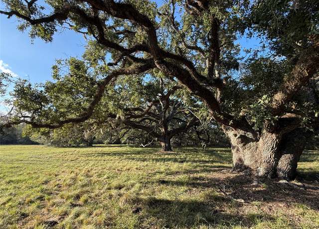 Property at 31619 Highway 36, West Columbia, TX 77486, 2 baths