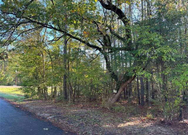 Property at TBD Everitt Ln, Coldspring, TX 77331