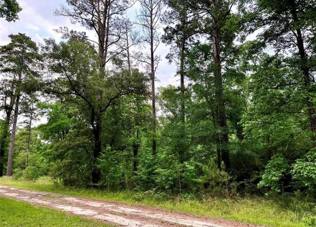 Property at TBD Lakeside Cir, Trinity, TX 75862