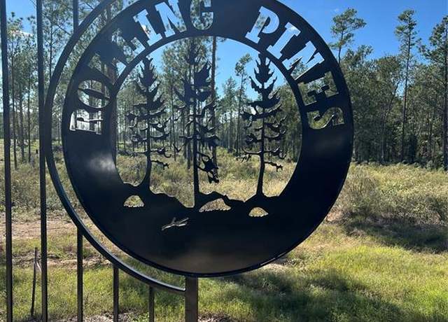 Property at 234 Reveille Rd, Livingston, TX 77351