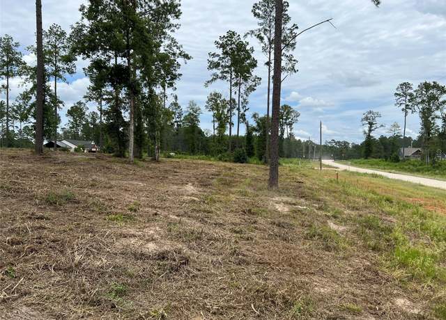 Property at 234 Reveille Rd, Livingston, TX 77351