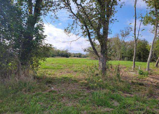 Property at 0 County Road 203, Liverpool, TX 77577