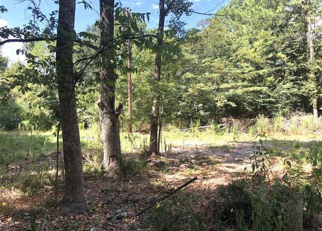 Property at Tract 3.1 Sylvia Trl, Coldspring, TX 77331