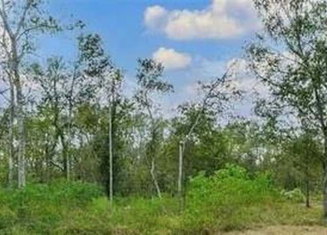Property at 20687 Live Oak Dr, Damon, TX 77430
