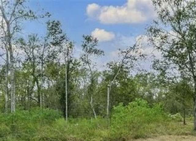 Property at 20687 Live Oak Dr, Damon, TX 77430