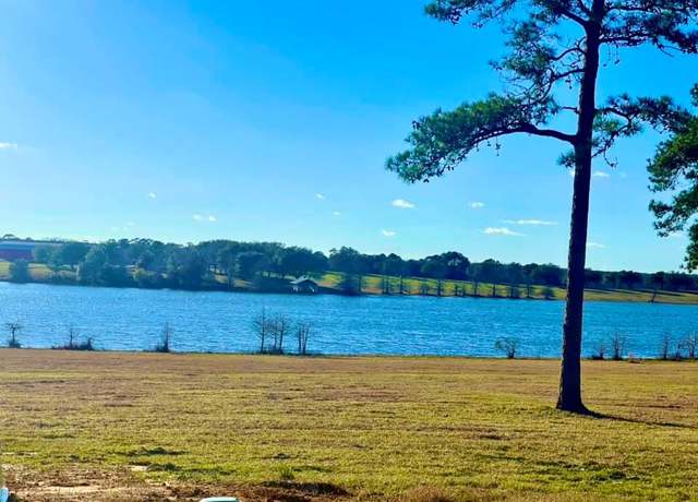Property at TBD E Lakeland Court Lot 29, Hillister, TX 77624