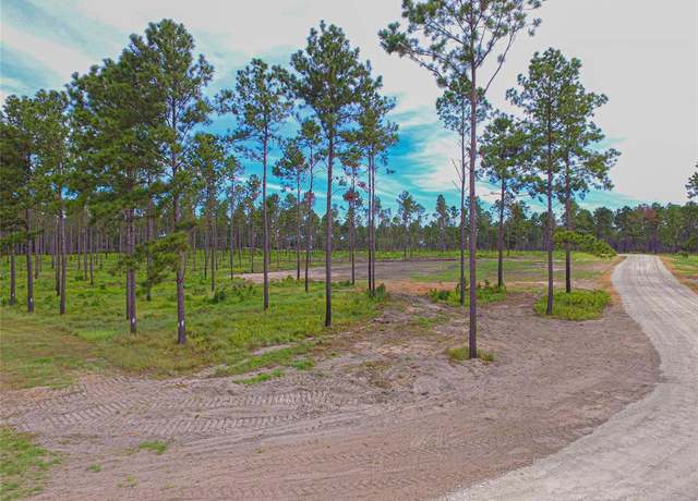 Property at 0010 Nelson Dr, Livingston, TX 77351