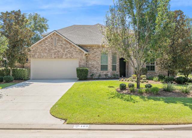 Property at 102 Silver Minnow Pl, Montgomery, TX 77316, 4 beds, 4.5 baths