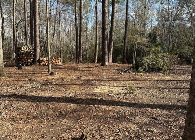 Property at Lot 2 Mcclains Rd, Shepherd, TX 77371
