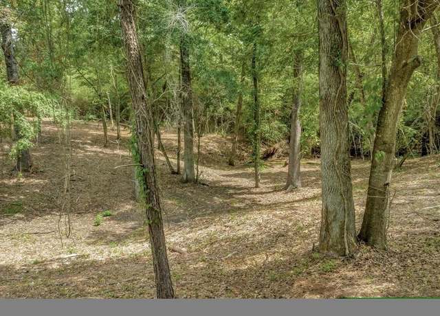 Property at TBD Sharon Ln, Livingston, TX 77351