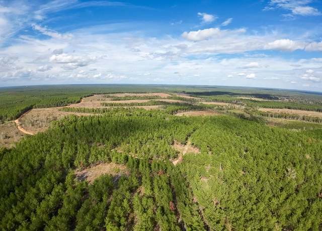 Property at 0 Timber Rd, Livingston, TX 77351