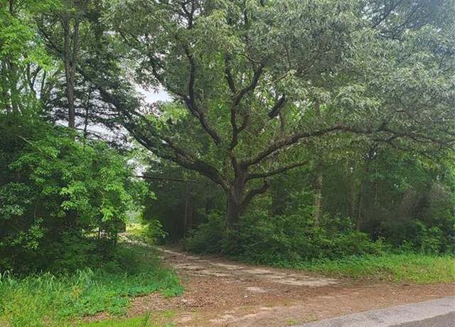 Property at 227W & TBD Hayesspring, Grapeland, TX 75844