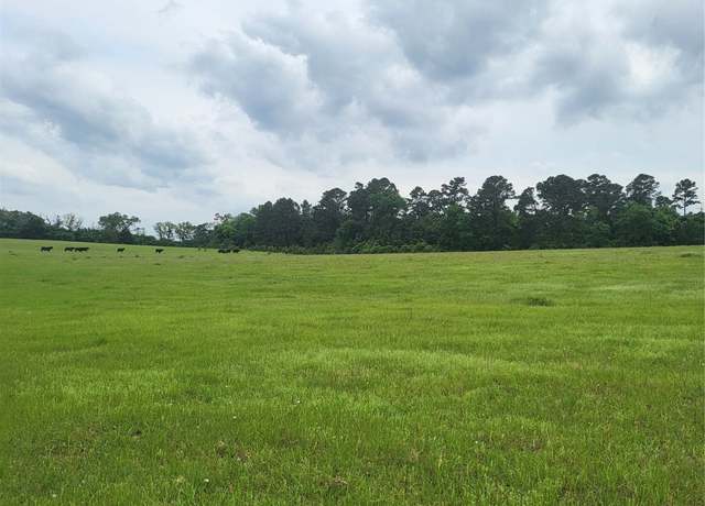 Property at 227W & TBD Hayesspring, Grapeland, TX 75844