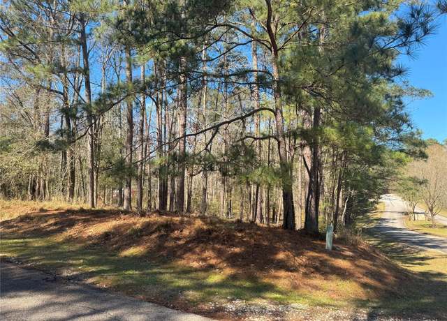 Property at 178 & 182 Twinstone Cir, Coldspring, TX 77331
