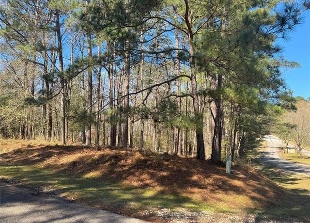 Property at 178 & 182 Twinstone Cir, Coldspring, TX 77331