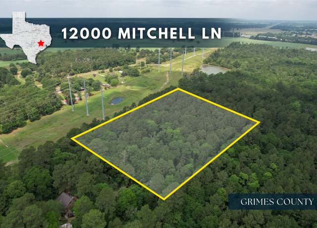 Property at 12000 Mitchell Ln, Plantersville, TX 77363