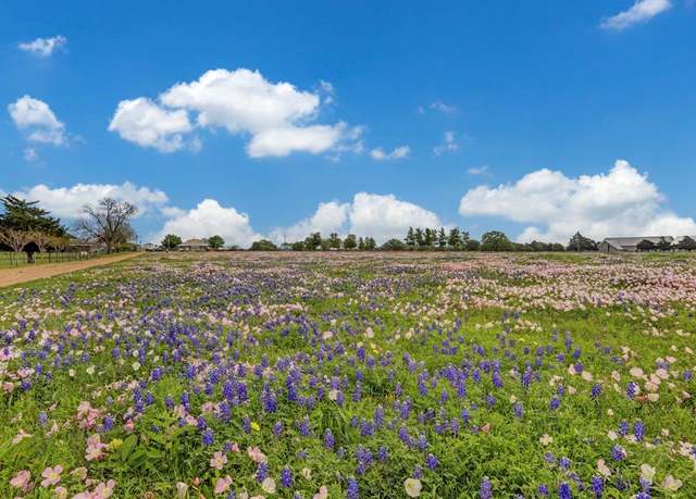 Property at 400 E Mill St, Round Top, TX 78954