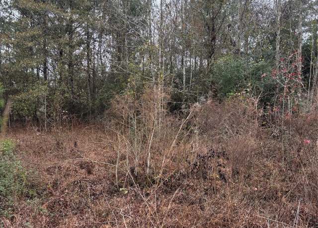 Property at TBD Fm 1774, Magnolia, TX 77355