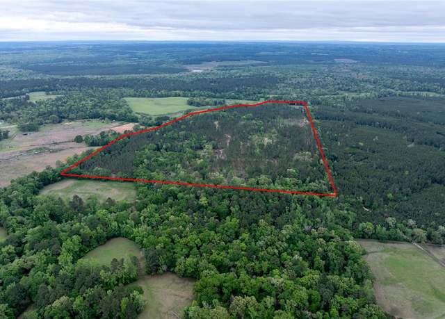 Property at 0 County Road 1170, Kennard, TX 75847