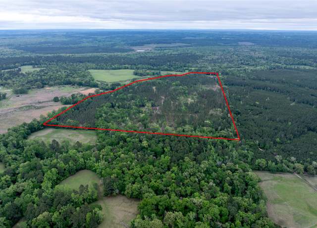 Property at 0 County Road 1170, Kennard, TX 75847