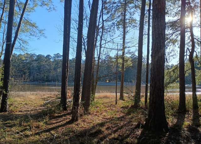 Property at 570 Lake Camelot Cir, Woodville, TX 75979