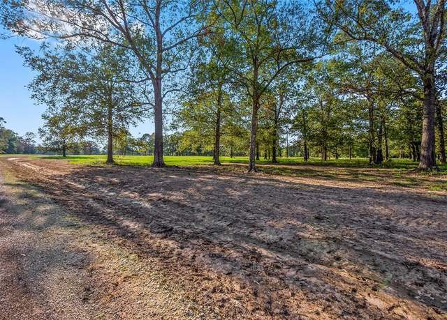 Property at 6087 Alans Memorial Ln, New Waverly, TX 77358