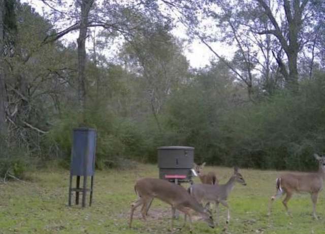 Property at 24030 Hegar Rd, Hockley, TX 77447