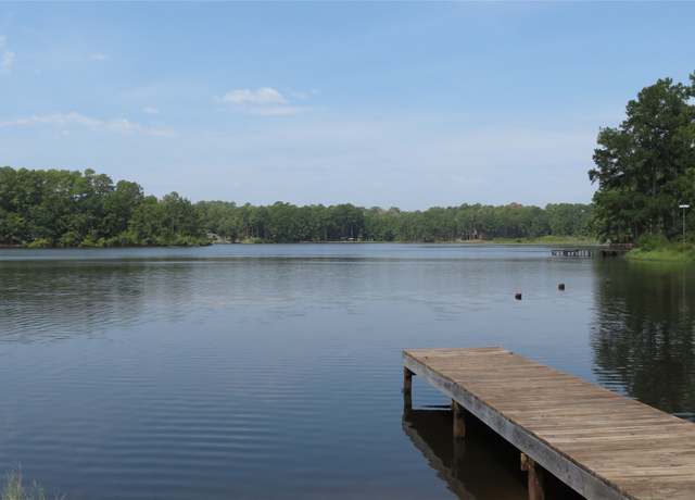 Property at 310 Sandy Ln, Woodville, TX 75979